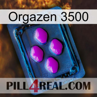 Orgazen 3500 04